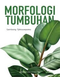 MORFOLOGI TUMBUHAN