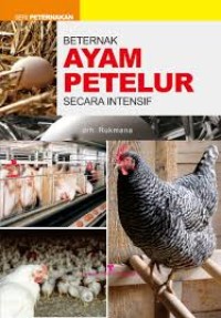 BERTERNAK AYAM PETELOR SECARA INTENSIF