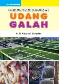 PELUANG USAHA UDANG GALAH